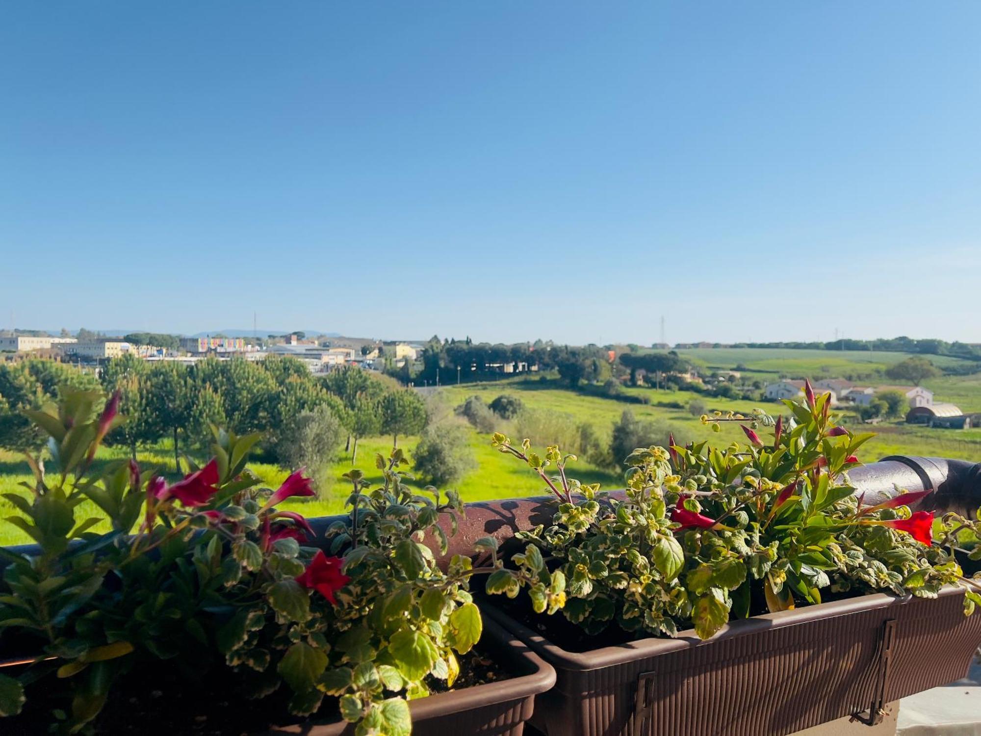 Villa Lavinia B&B Montescudaio Luaran gambar