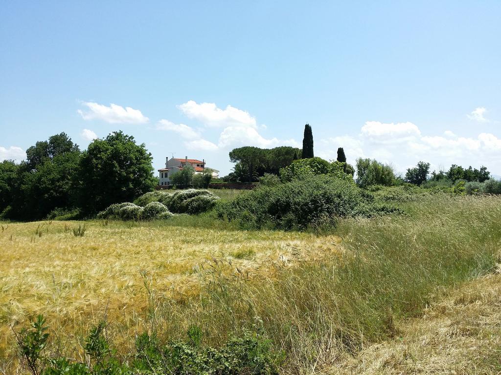 Villa Lavinia B&B Montescudaio Luaran gambar