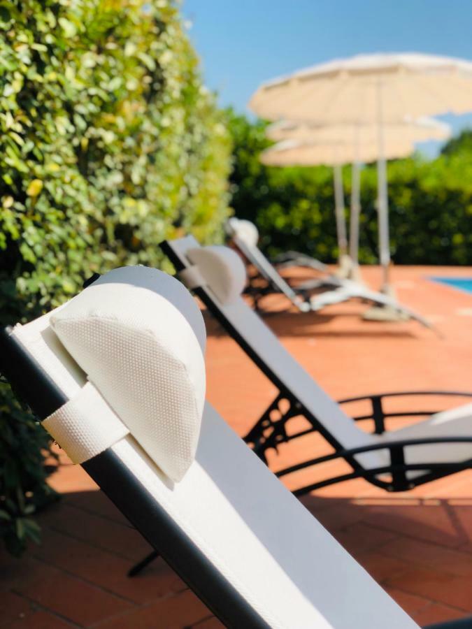 Villa Lavinia B&B Montescudaio Luaran gambar